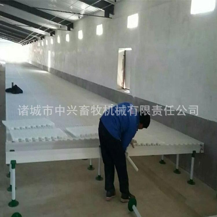 新式鸭棚漏粪板 鸡漏粪板价格 鹅床规格