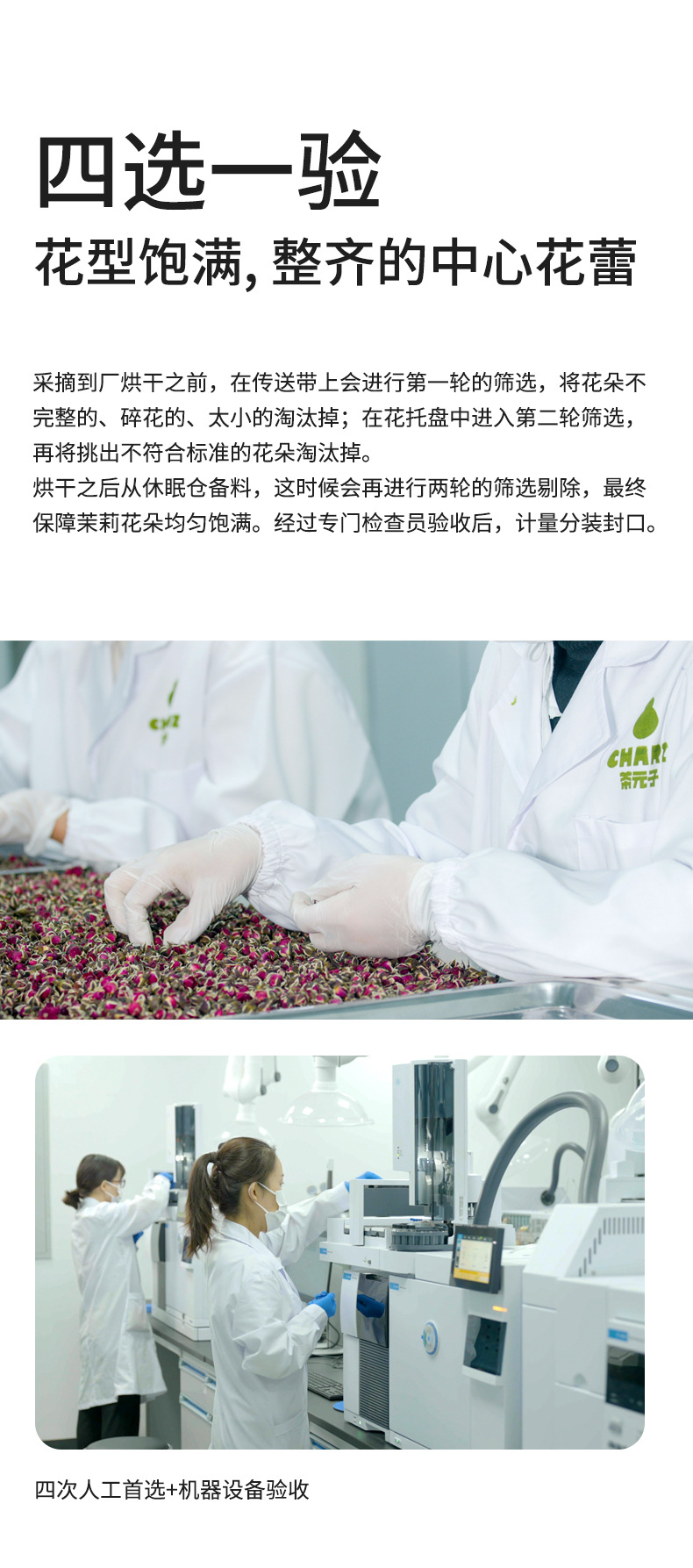 Jasmine Snow Ball Tea Mo Li Xue Qiu Dried Flower Buds 40g Canister Freshly Dried Stemless Blooms in use