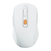Ordinary charging model [White]