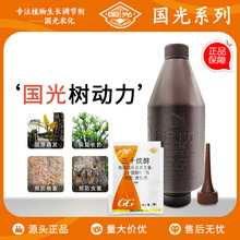 国光树动力大树营养液催芽液移栽催芽促成活活力液吊针大树直插瓶