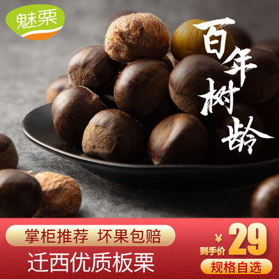 魅栗【百年古树】板栗生新鲜迁西板栗板栗新鲜栗子包邮