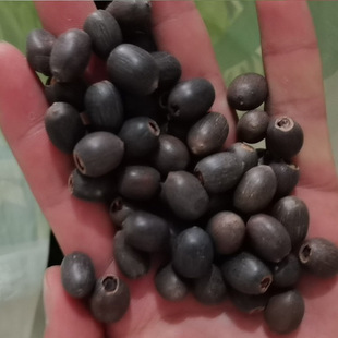 ˮ��ɏ�ӻ��N��ɏ��ˮ��ɻ���ɏ��ɫ��˯ɏ��ɏ�N���ļ��_���N��