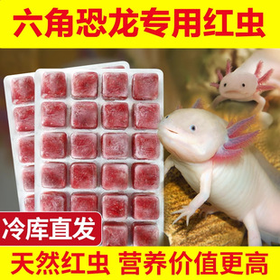 Bessn Hexagonal Dinosaur Fish Feed Frozen Red Worms Hexagonal Dragon Fish Salamander Six-Six Sinking Benthic Fish Food