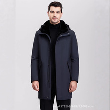 2025¿ˮđɿ˷ƤBñƤƤL˷