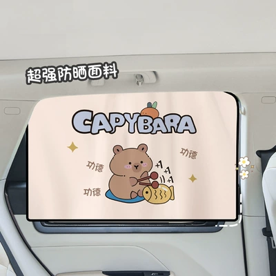 car privacy window – Car curtains