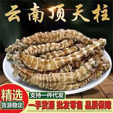 云南地参顶天柱材500g虫草参地参干淫花果男士回春草泡酒泡茶