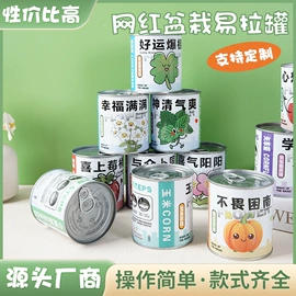 盆栽;盆景;金属罐