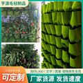现货供应垂直种植袋绿化植物墙立体绿化袋多口种植袋壁挂式植物袋