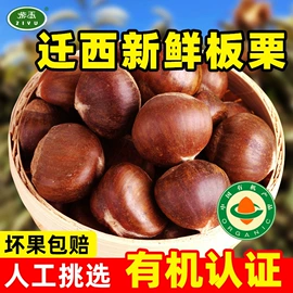 栗子;果蔬汁;调味酱