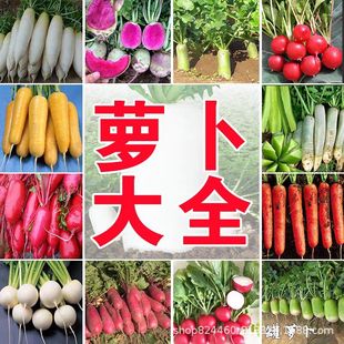 �}���N�Ӵ�ȫ�ﶬ����t�}�����}�����}�������}���}�����߲˷N��