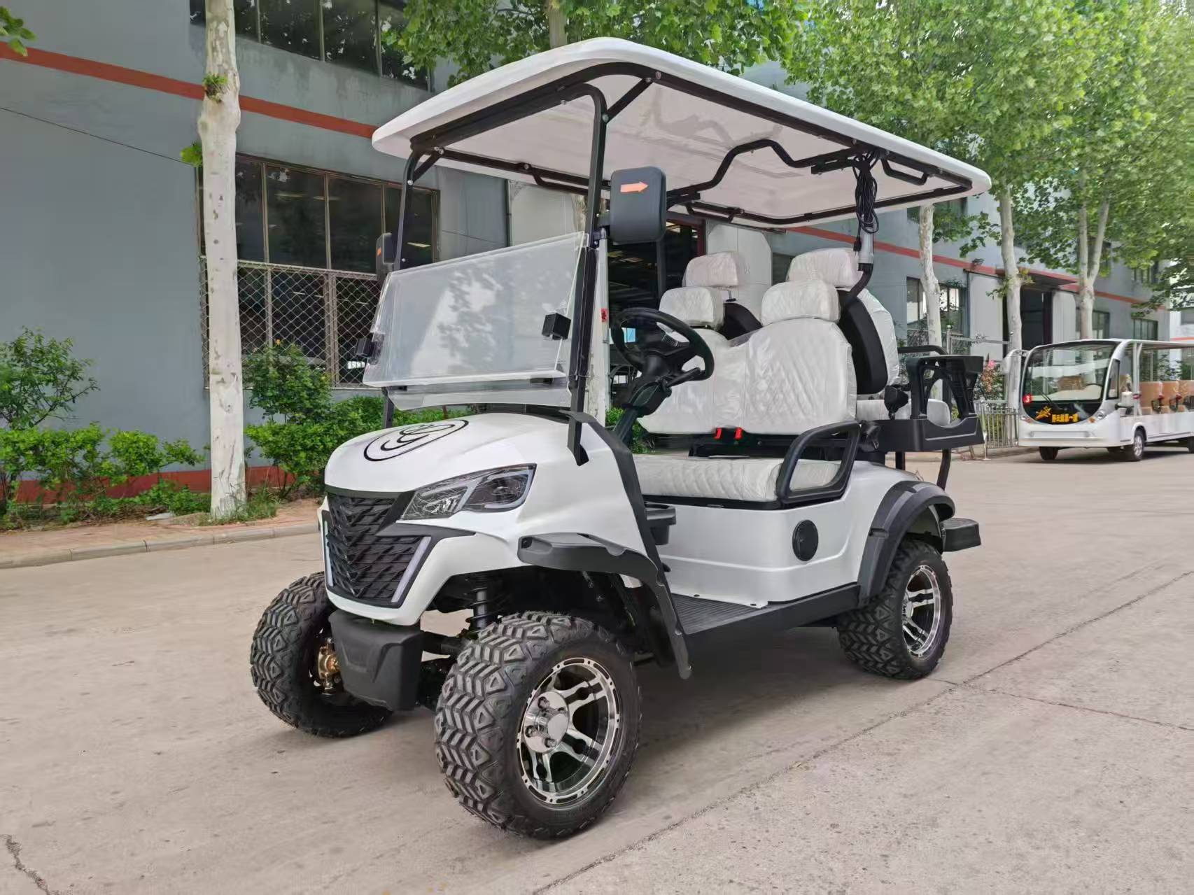 New Electric Golf Cart for Tourist Areas, Residential Communities, and Parks, 2-8 Seat Mobility Vehicle
