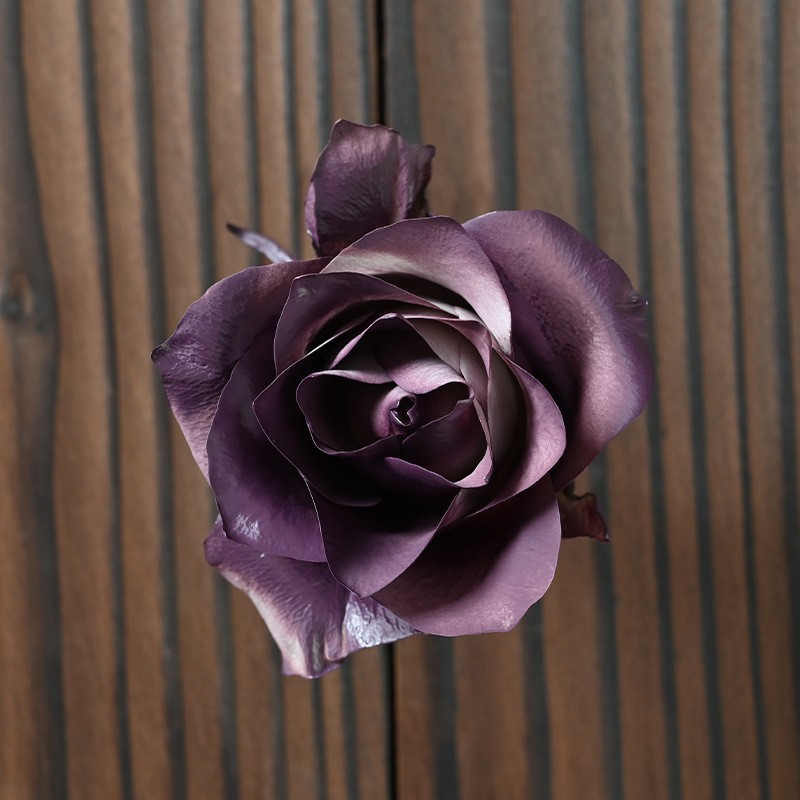 Huaxinsi 매화 보라색 소스 꽃 스프레이 페인트 [450ML/1병], 색상 사진 설명 참조