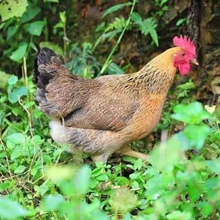 �������_���uС�u����w  �����u���u��ɽ�ط��B���u