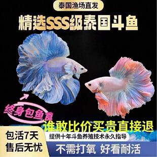 ̩�����~�鼆�~��Ů��۰װ��³�����ˮ�~���˺��B�ͻ�Ꭷ�^�p�~