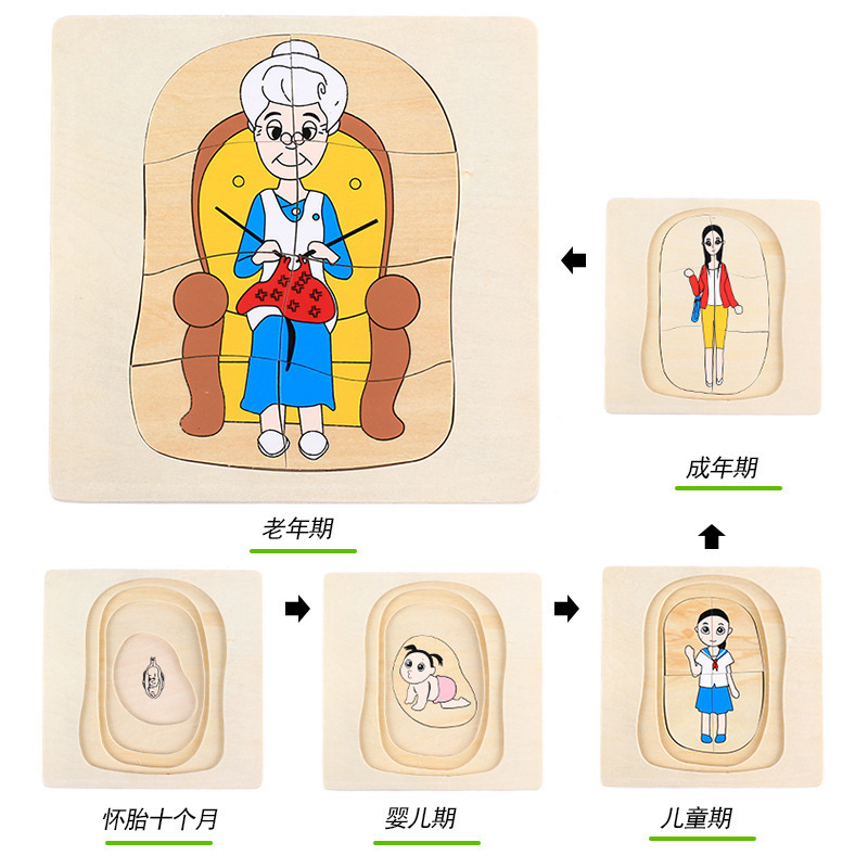 CPC de los niños de madera 3D animal digital tridimensional rompecabezas de crecimiento animal proceso de evolución rompecabezas juguetes de madera