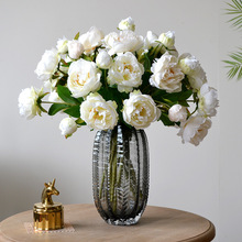 羳l؈ߙnҾbĵܽػ[滨ĵ