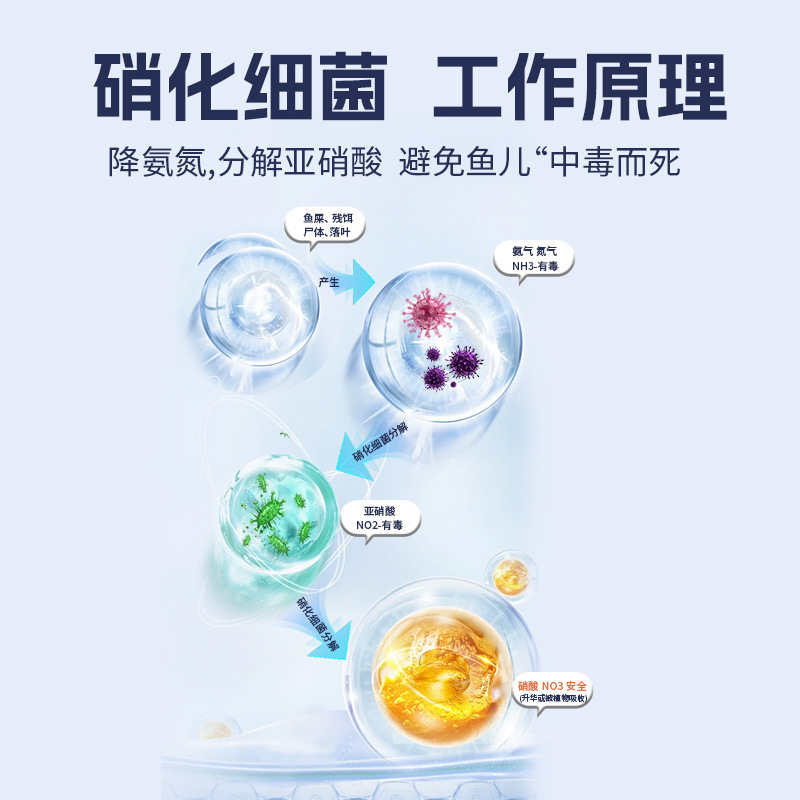 硝化细菌鱼缸用净水剂水族养鱼净化水质稳定剂分解鱼便消化活菌液|undefined