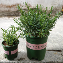 ���Դ�С�����r��ʳ�����ֲ��ţ���������㱡�����K�_���~