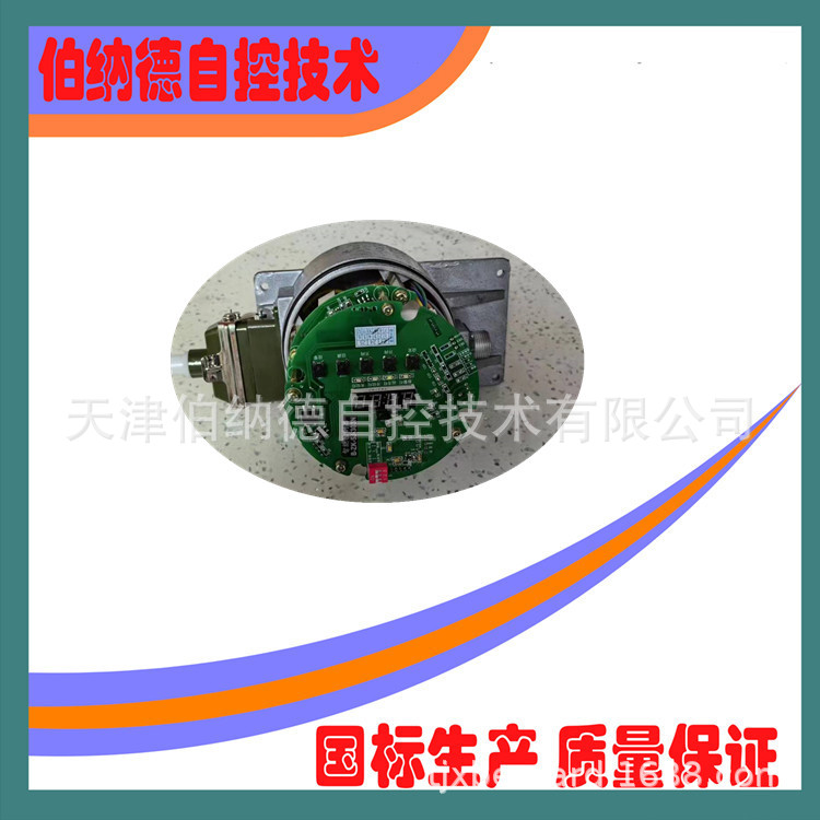 供应DY-J-N智能电路板 天津自动化仪表七厂 伯纳德自控主控板批发