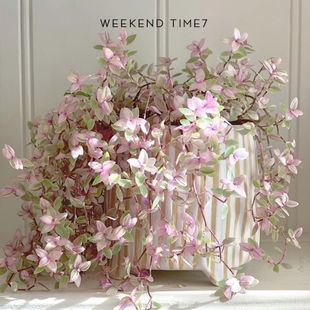 ���m������֬��ͮ���Y�^�~ֲ��W�t�����k��������