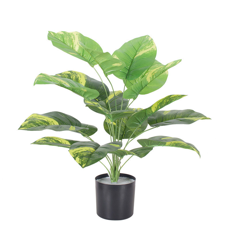 Simulación de paisajismo de interior Planta en maceta Evergreen Simulación de planta de follaje de interior Planta verde Evergreen con maceta image 10