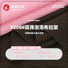 涤氨高弹泡泡布拉架针织面料 春夏弹力洞洞布运动服广告衫T恤布料