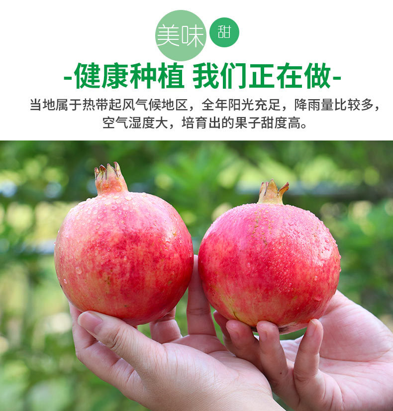 石榴詳情頁_04.jpg