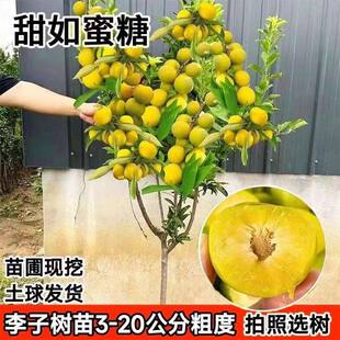 �ش�������Ә������A����Ó����ͥԺ�������Ե��Դ�̖���ӹ�����