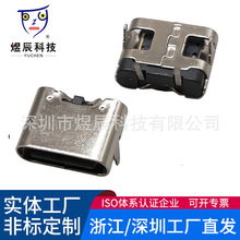 TYPE-C母座大电流快充 USB立插2p母座Type-c 防水2Pin连接器