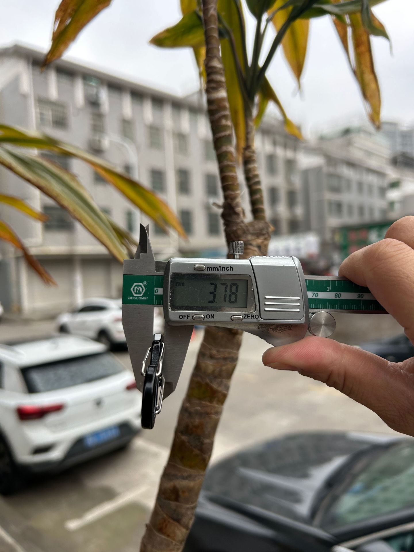 50499f796fbb34d86ae2d3998bb8ef