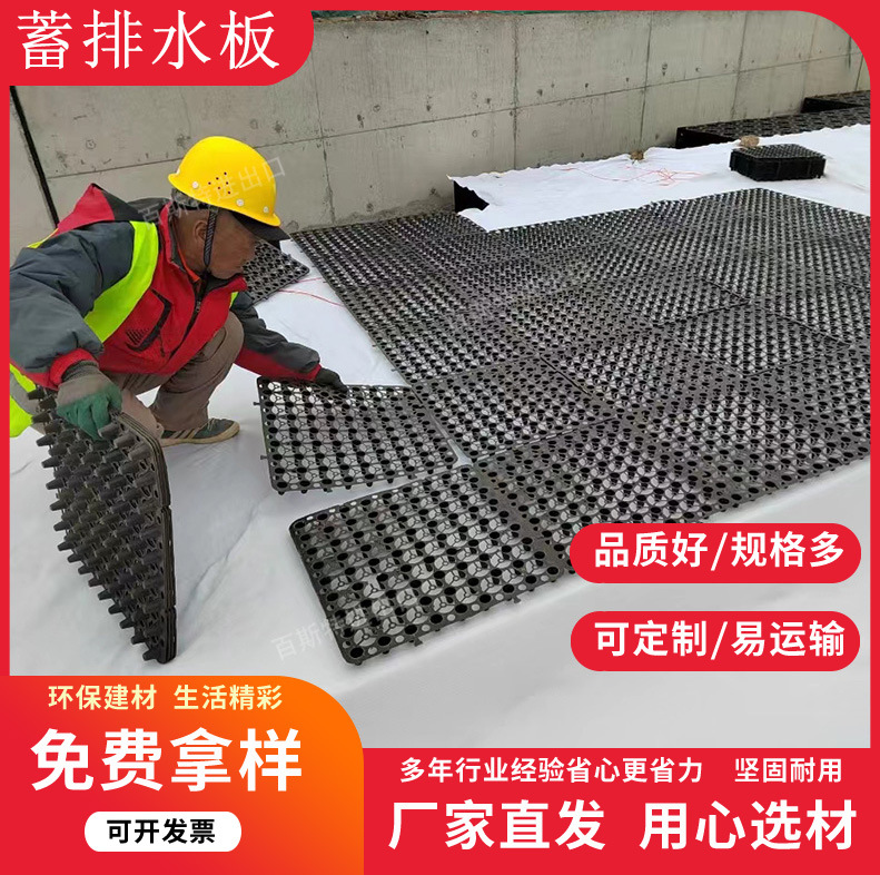 蓄排水板厂家 虹吸排水板 塑料排水板 疏水板 滤水板 排水板