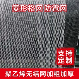 其他塑料网;防雹网;防鸟网