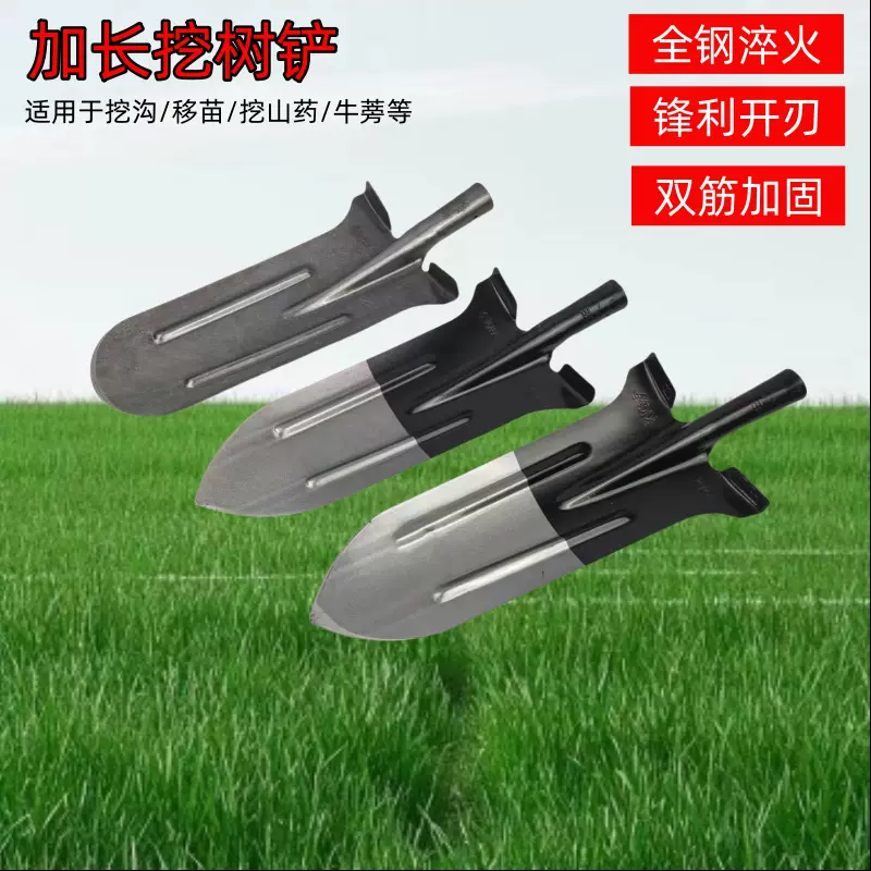 猛钢淬火加长挖树铁锹开刃尖头铲挖树挖沟锹农用工具园林专用
