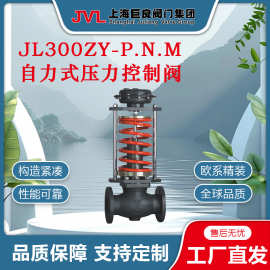 JL300ZY-P.N.M 自力式压力控制阀,自力式调节阀,压力调节阀,直销
