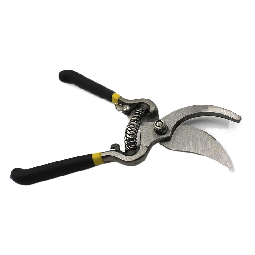 Tijeras de jardinería de 8 pulgadas para podar ramas de frutas, tijeras para podar flores, herramientas para podar ramas, tijeras para podar árboles frutales.