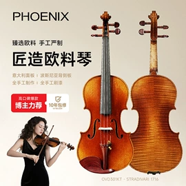 拉弦类乐器;乐器配件;口琴
