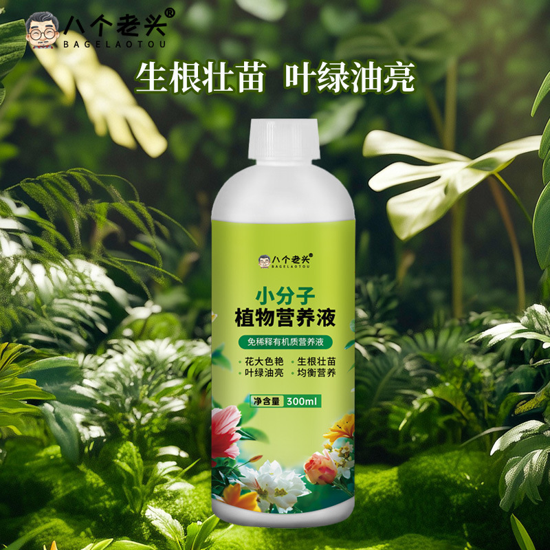 专用小分子营养液强力促根膨果增甜抗病抗寒叶面肥冲施肥厂家直供|undefined