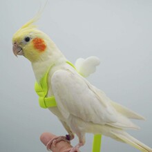 �W�^���w�K�_��Ƥĵ�����L�B��С��ʹ�������B�������w�K