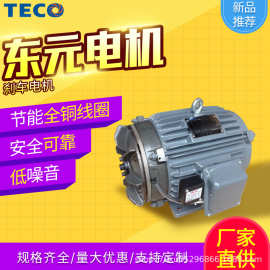 东元电机刹车电机应用型鼠笼式卧式 / 立式低压全密电动机0.75kW