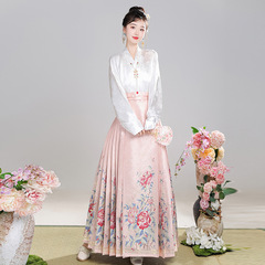 新商品の明製の漢服の女性の金の化粧の花の馬のスカートの秋冬のフルセットの時代の中国風の日常の元素の超仙