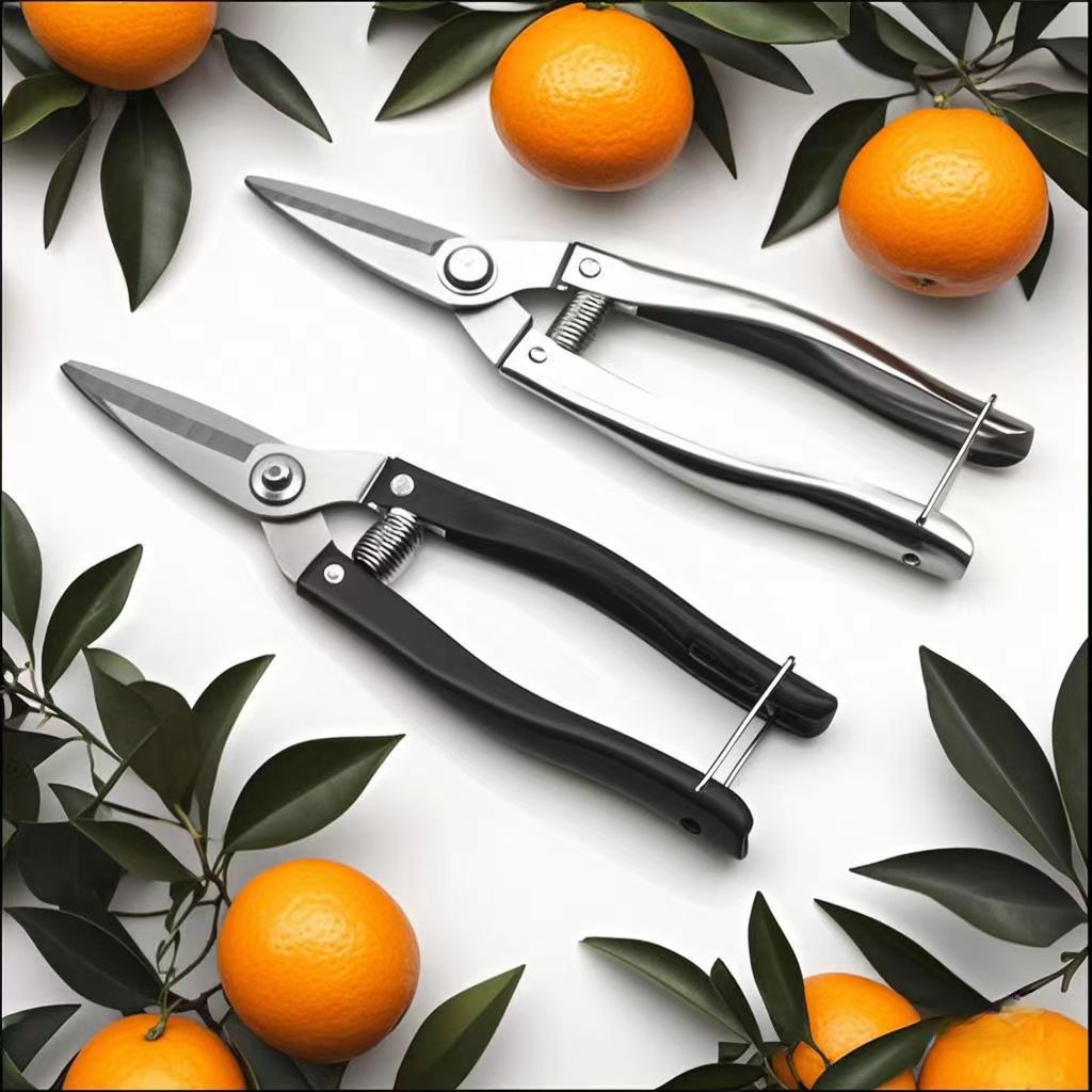 不锈钢摘果采果修枝橘子桔子剪罗定果果疏花艺园林果园剪刀厂批发