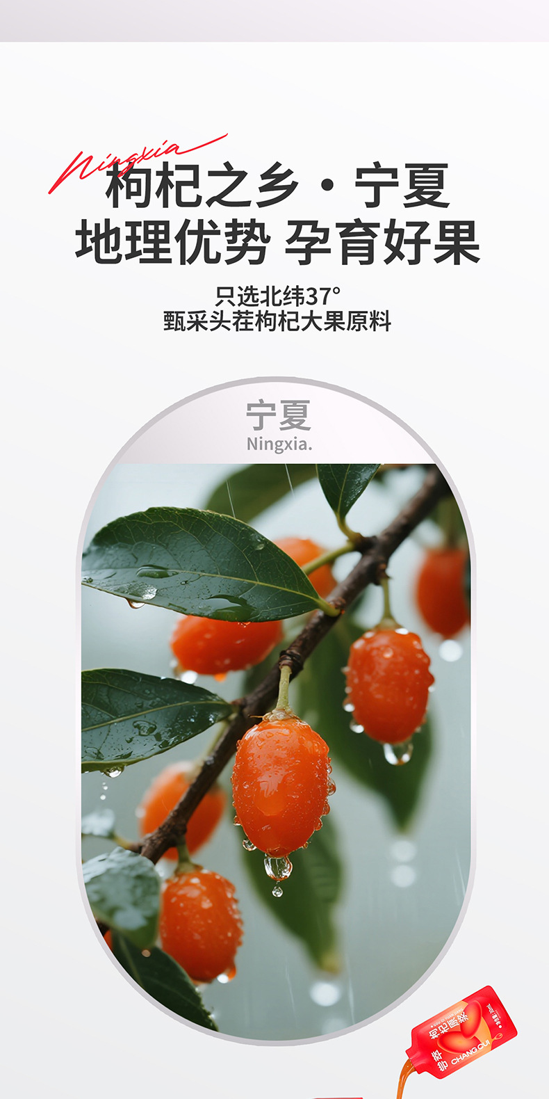 Goji Berry Puree Juice 60 Sachets Gift Box Ningxia Zhongning Red Goji Ready to Drink quality and texture