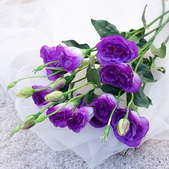 3 Eiffel Lisianthus Gentian Flowers Simulated Flowers Artificial Flowers Home Wedding Photography Flowers and Floral Arrangements