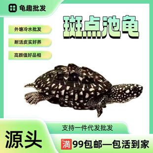���c�����c�����M���Ǟ��������������l��ˮ���Ꭷ���׻�Դ�^ֱ��