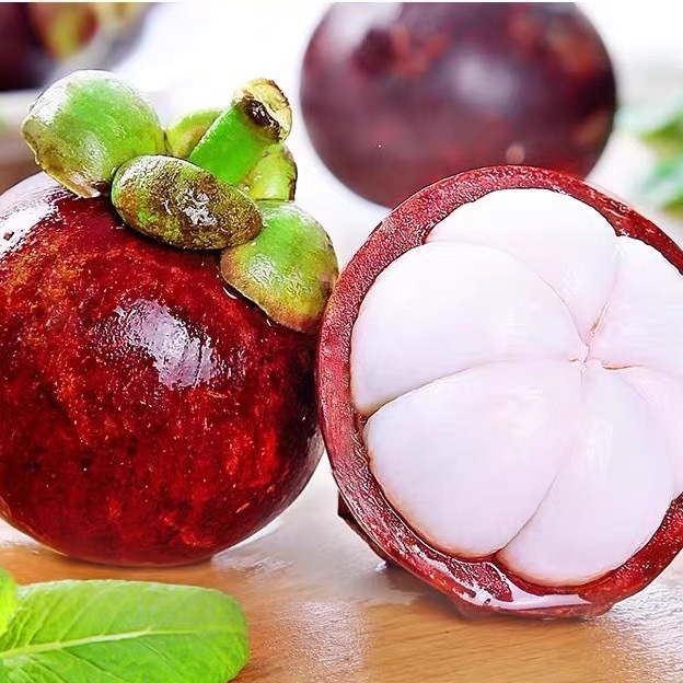 61ae5f80-188e-4a99-bdff-000ad76fdc37.jpe