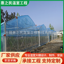 ��Ĥ�����B���������ȫ�׃�������B�w����\����ꖸ���