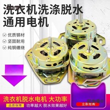 纯铜双桶半全自动洗衣机洗涤排水脱水甩干桶变频马达迷你电麦太保