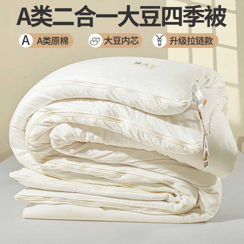 2025 New Type a Maternal and Infant Grade Raw Cotton Jacquard Soybean Quilt Two-In-One Quilt Winter Quilt Core Spring & Fall Quilt
