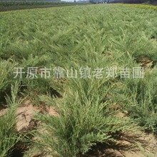 �Ȱؙu�����ؘ����ͺ��������|�u�ؖ|���|������G�h��������ؘ�