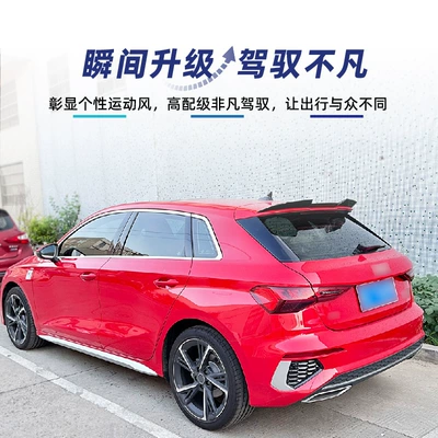 roof spoiler, rear spoiler, and – Fixed wind wing